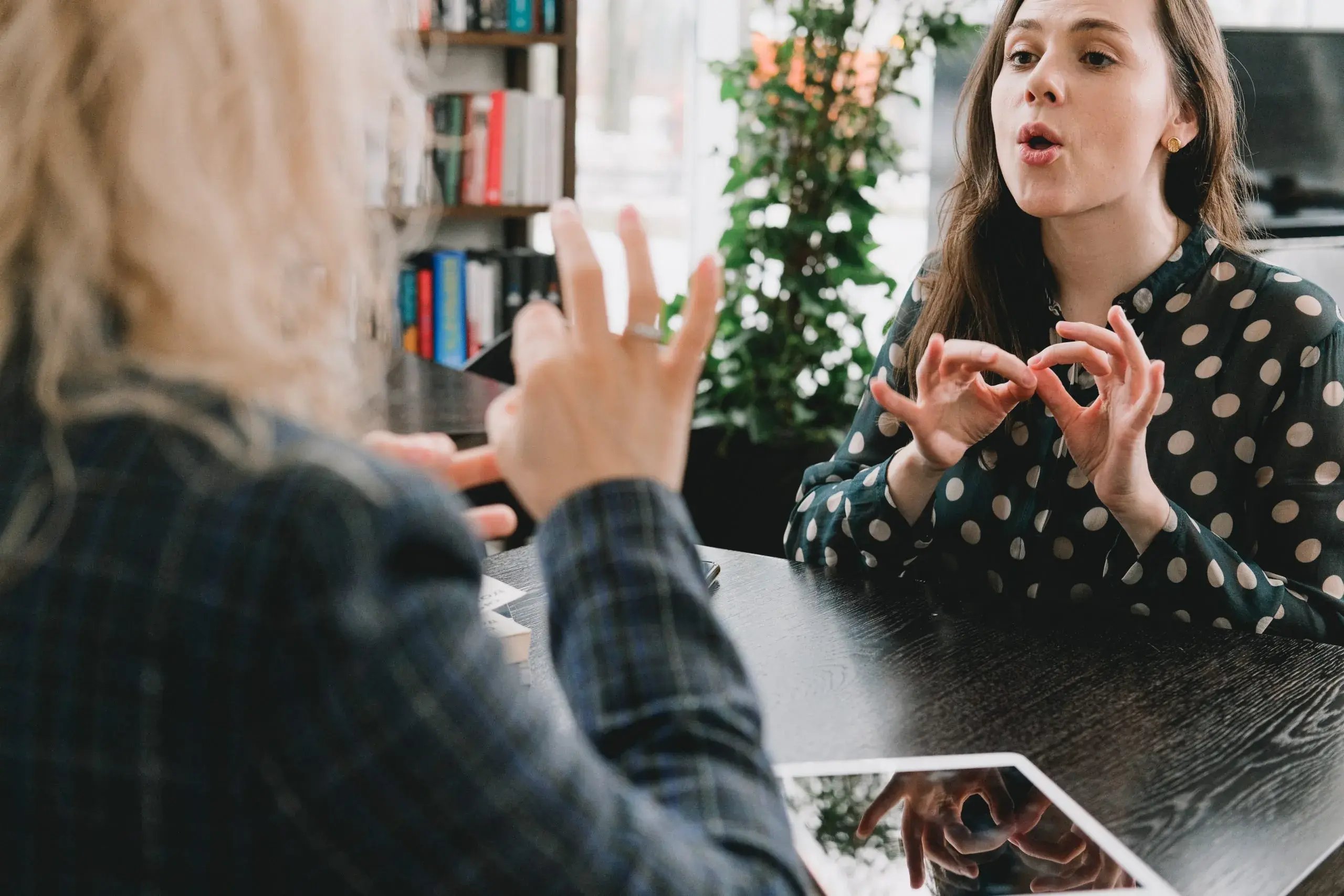 Non-medical help sign language interpreter
