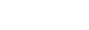 NEW Wyvern Business Systems Logo White