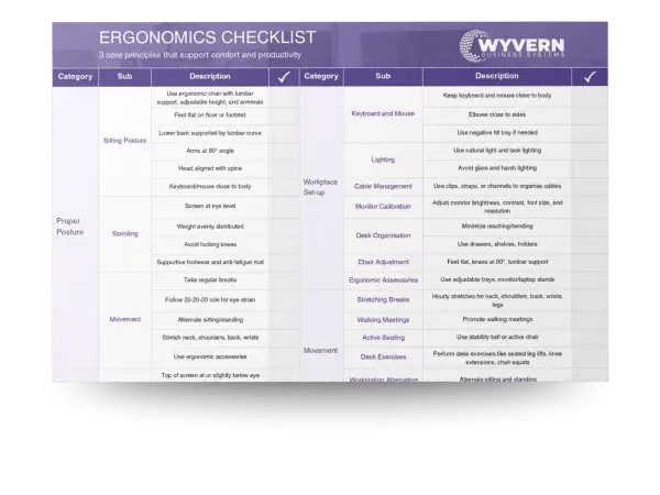 Wyvern Business Systems Ergonomic Checklist Mock Up (3)