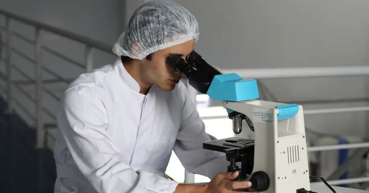person looking through a microscope