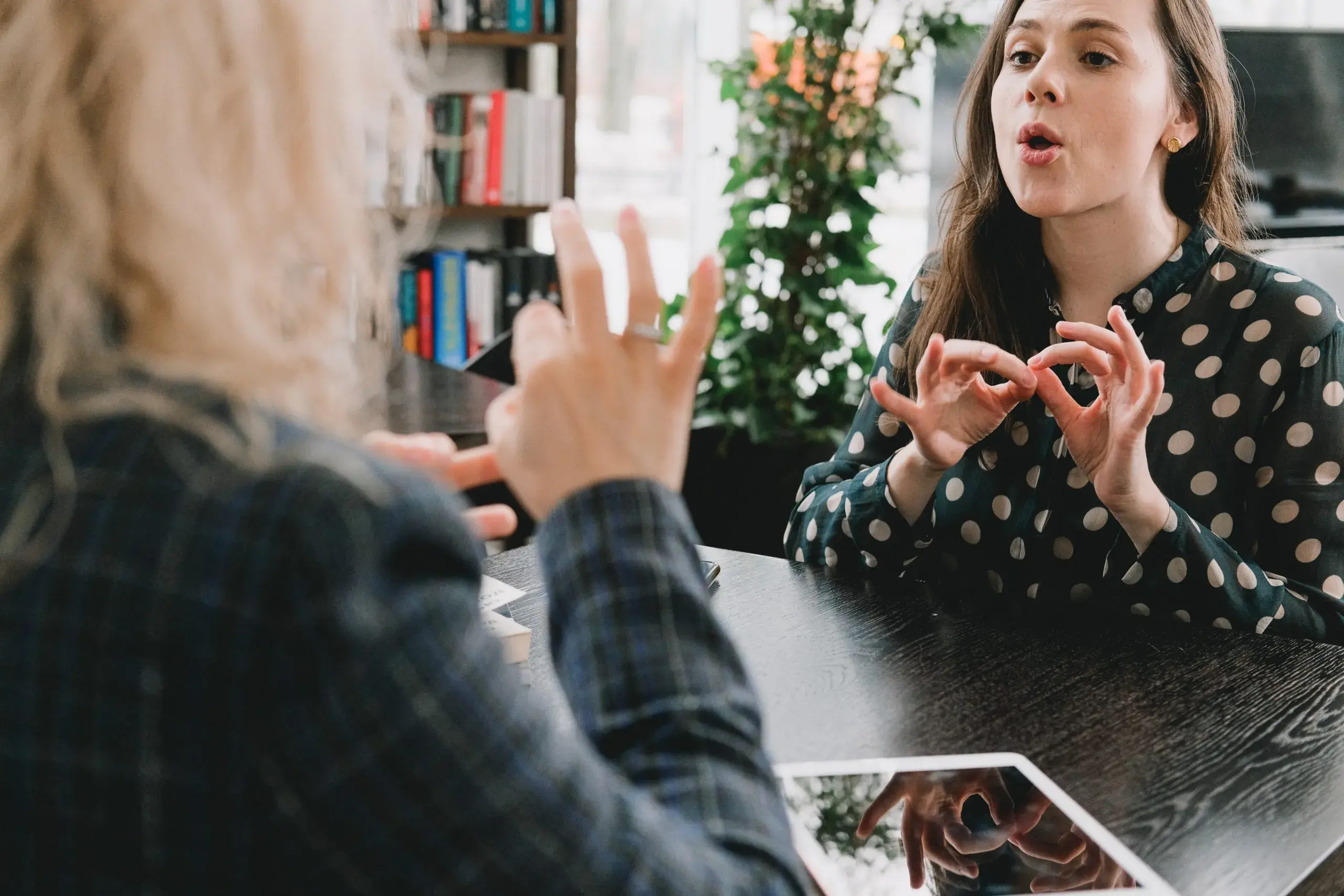 Non-medical help sign language interpreter