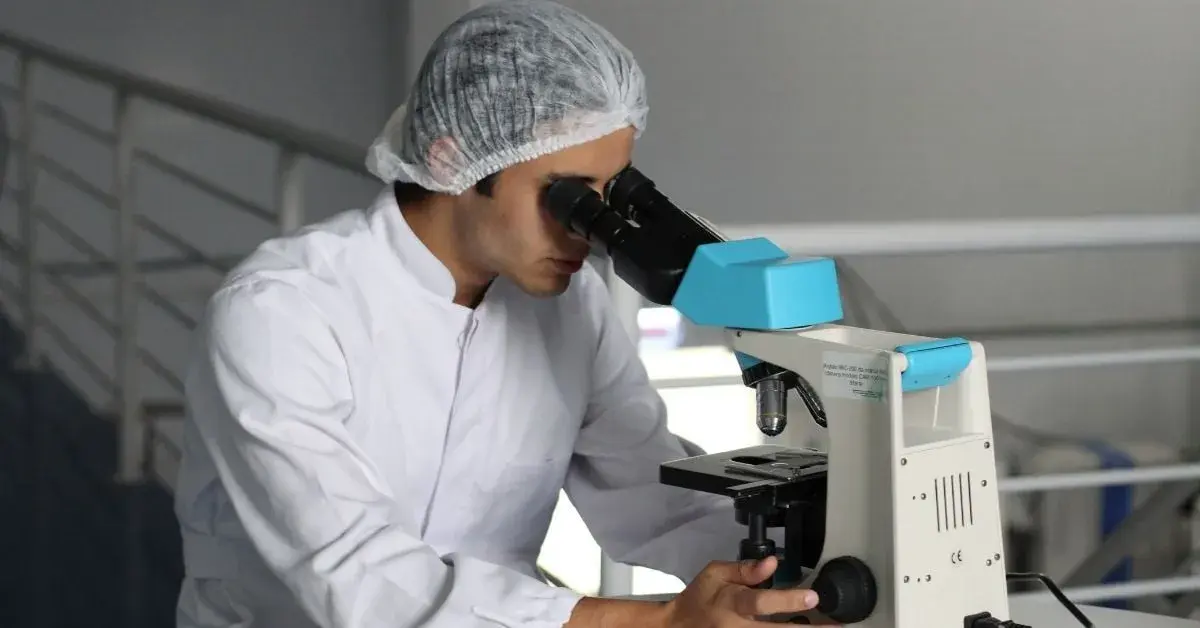 person looking through a microscope